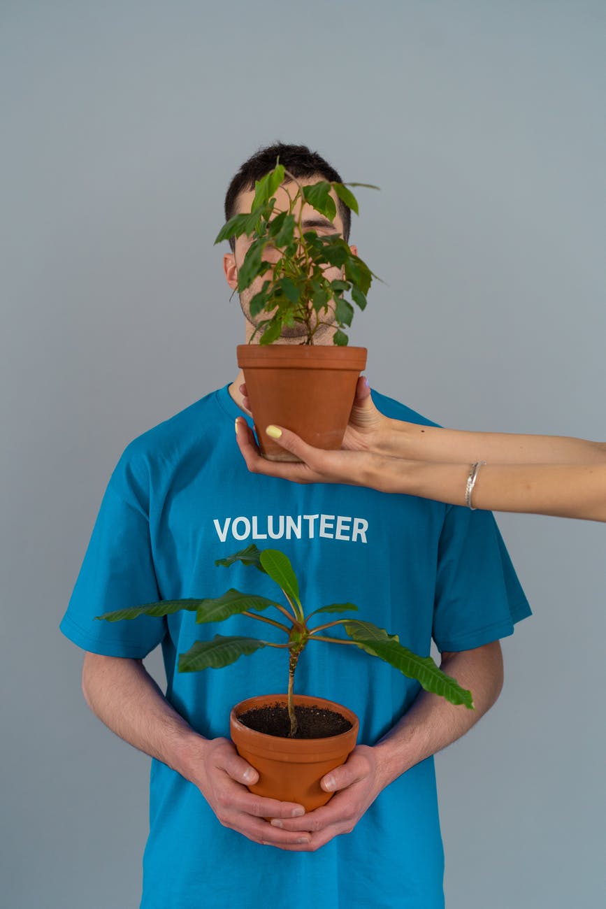 person in blue crew neck t shirt holding brown potted green plants