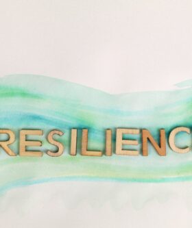 Building Resilience PLR offers